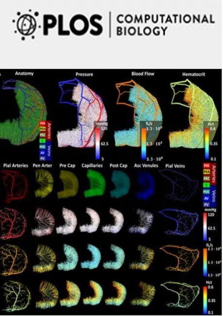 PLOS Computational Biology